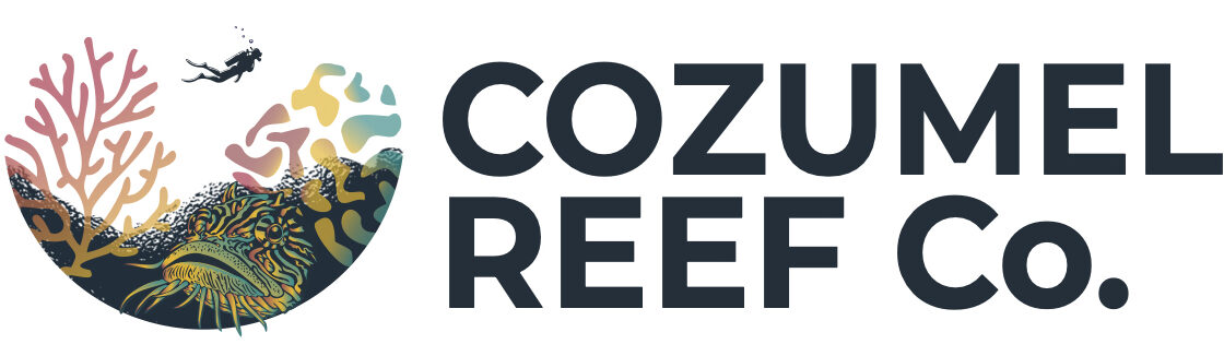 CR Logo Horizontal