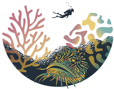 Cozumel Reef Co.
